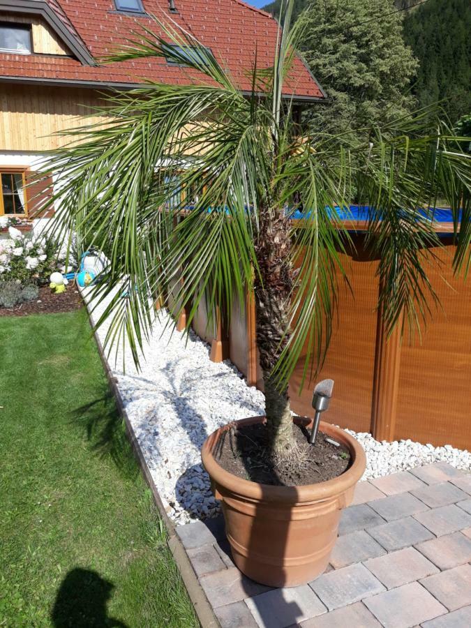 Haus Steinthaler Apartman Stockenboi Kültér fotó